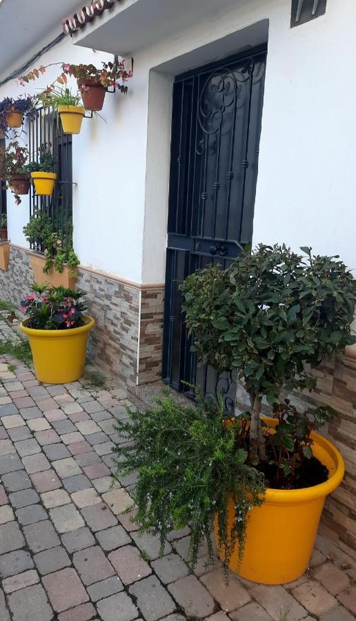 Apartamento En Casco Historico Estepona Zewnętrze zdjęcie